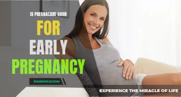 The Benefits of Using Pregnacare in Early Pregnancy