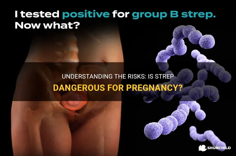is strep a dangerous for pregnancy