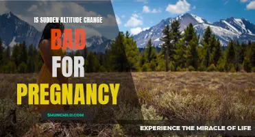 The Impact of Sudden Altitude Change on Pregnancy: What You Need to Know