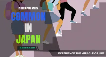 Exploring Teenage Pregnancy Rates in Japan