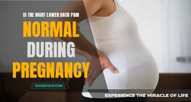 Understanding Lower Back Pain During Pregnancy: Is it Normal?