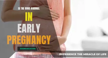 Understanding the Normality of experiencing Diarrhea in Early Pregnancy