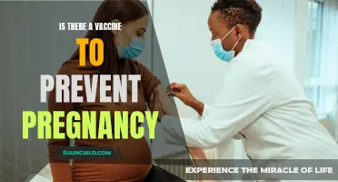 Exploring the Possibility: Is there a Vaccine to Prevent Pregnancy?
