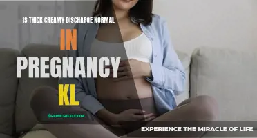 Understanding Thick Creamy Discharge: Is It Normal During Pregnancy?