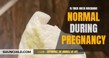 Understanding Thick Green Discharge During Pregnancy: Is it Normal?