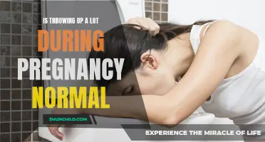 Understanding Excessive Vomiting during Pregnancy: Is It Normal?