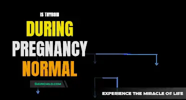Understanding Thyroid Function During Pregnancy: What Is Normal?