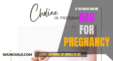 The Potential Risks of Excessive Choline Intake During Pregnancy