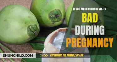 Unveiling the Myth: Exploring the Effects of Excessive Coconut Water Consumption During Pregnancy