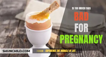 The Potential Risks of Consuming an Excessive Amount of Eggs During Pregnancy