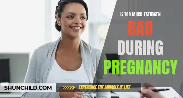 The Effects of Excessive Estrogen During Pregnancy: Is It Harmful?
