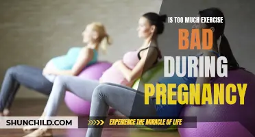 Understanding the Impact of Excessive Exercise on Pregnancy: Is It Harmful for Expectant Mothers?