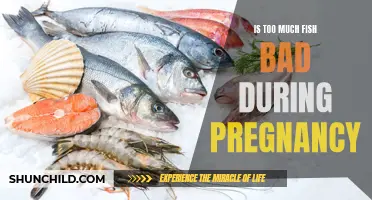 Why Excessive Fish Consumption During Pregnancy May Pose Risks: What You Need to Know