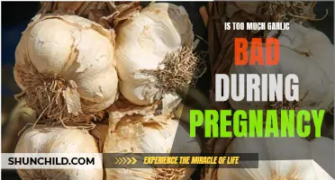 Can Excessive Garlic Consumption be Harmful During Pregnancy?
