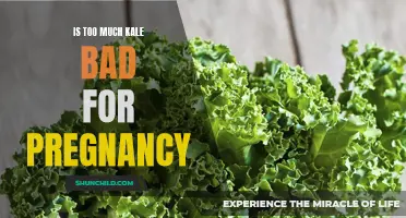 The Potential Risks of Excessive Kale Consumption During Pregnancy