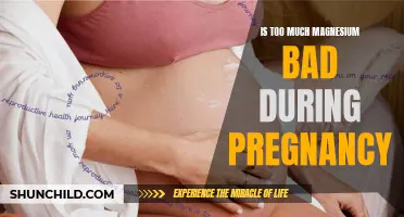 The Dangers of Excessive Magnesium Intake During Pregnancy