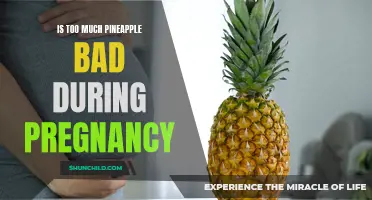 The Potential Effects of Excessive Pineapple Consumption on Pregnancy