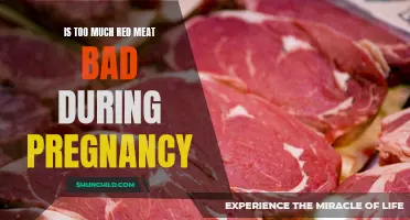 The Risks of Consuming Excessive Red Meat During Pregnancy