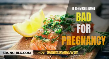 Potential Risks of Excessive Salmon Consumption During Pregnancy
