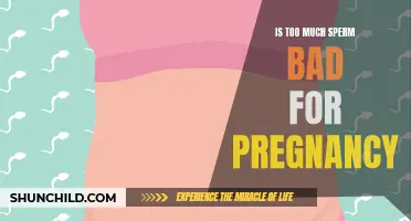 The Potential Effects of Excessive Sperm During Pregnancy