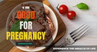 Exploring the Benefits of Tuna During Pregnancy