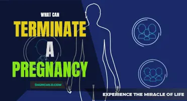 Understanding the Different Methods That Can Terminate a Pregnancy