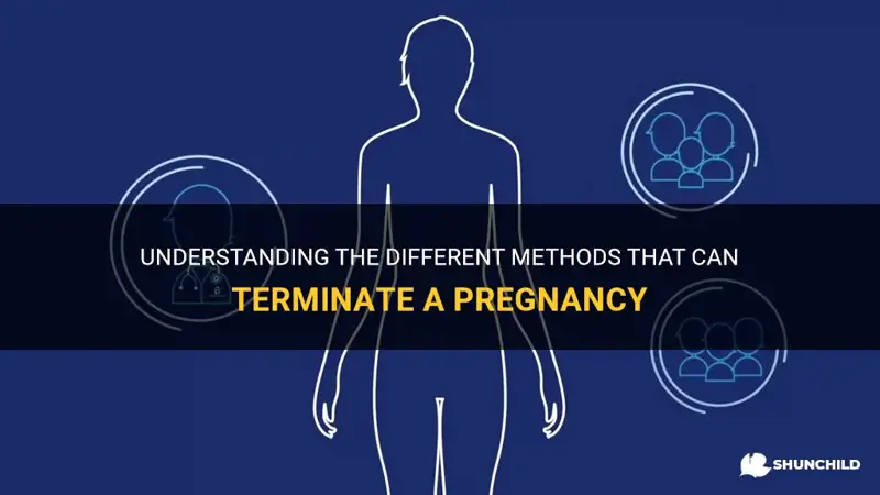 what can terminate a pregnancy