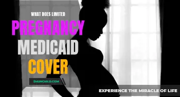 Understanding the Coverage of Limited Pregnancy Medicaid
