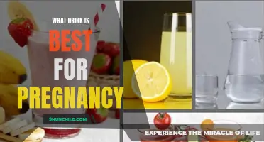 The Ultimate Guide to Choosing the Best Drink for a Healthy Pregnancy