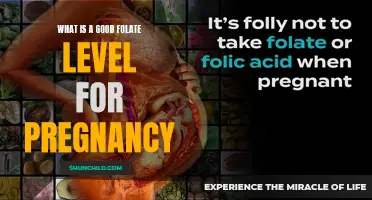 Exploring the Importance of Folate Levels for a Healthy Pregnancy