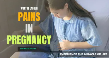 Understanding the Experience of Labour Pains in Pregnancy