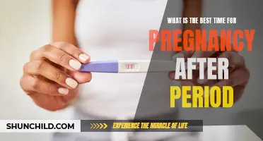 Finding the Optimal Time for Pregnancy After Your Menstrual Cycle
