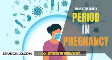 Understanding the Risk Factors and Precautions during the Danger Period in Pregnancy