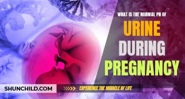 Understanding the pH Levels in Urine During Pregnancy