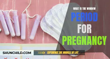 Understanding the Window Period for Pregnancy: What You Need to Know