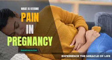 Understanding Uterine Pain in Pregnancy