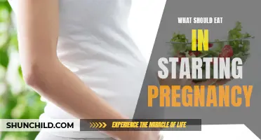 Nutrition Essentials for a Healthy Start to Pregnancy