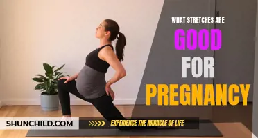 The Best Stretches for a Comfortable Pregnancy Journey