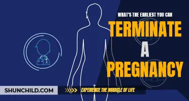 Understanding the Earliest Timing for Termination of Pregnancy