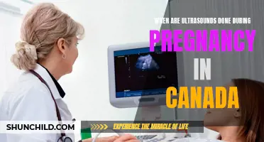 Understanding the Timing of Ultrasounds During Pregnancy in Canada