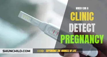 Signs and Symptoms: Understanding When a Clinic Can Detect Pregnancy