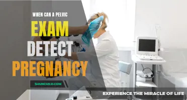 How a Pelvic Exam Can Detect Pregnancy
