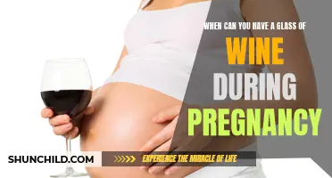 The Optimal Time for Enjoying a Glass of Wine During Pregnancy