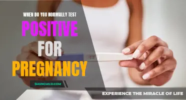 Understanding the Timing of Positive Pregnancy Test Results