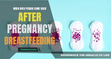 The Return of Your Period: When Does It Come Back After Pregnancy and Breastfeeding?