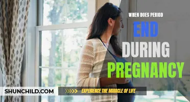Understanding when period ends during pregnancy