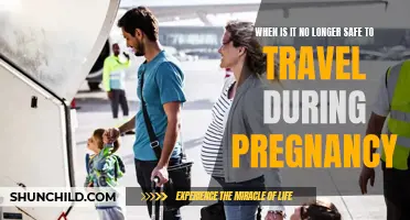 Traveling While Pregnant: Understanding the Safe Window