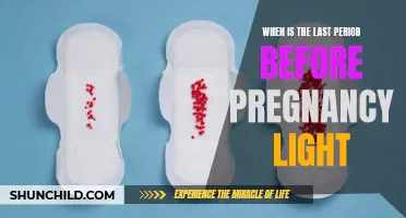 Understanding the Characteristics of the Last Period Before Pregnancy: A Guide to Light Bleeding