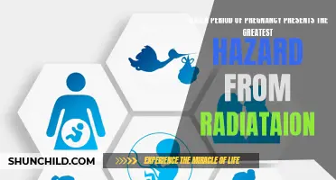 The Critical Period: Identifying the Greatest Hazard from Radiation during Pregnancy