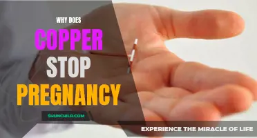 The Anti-Pregnancy Power of Copper: Unraveling the Mystery